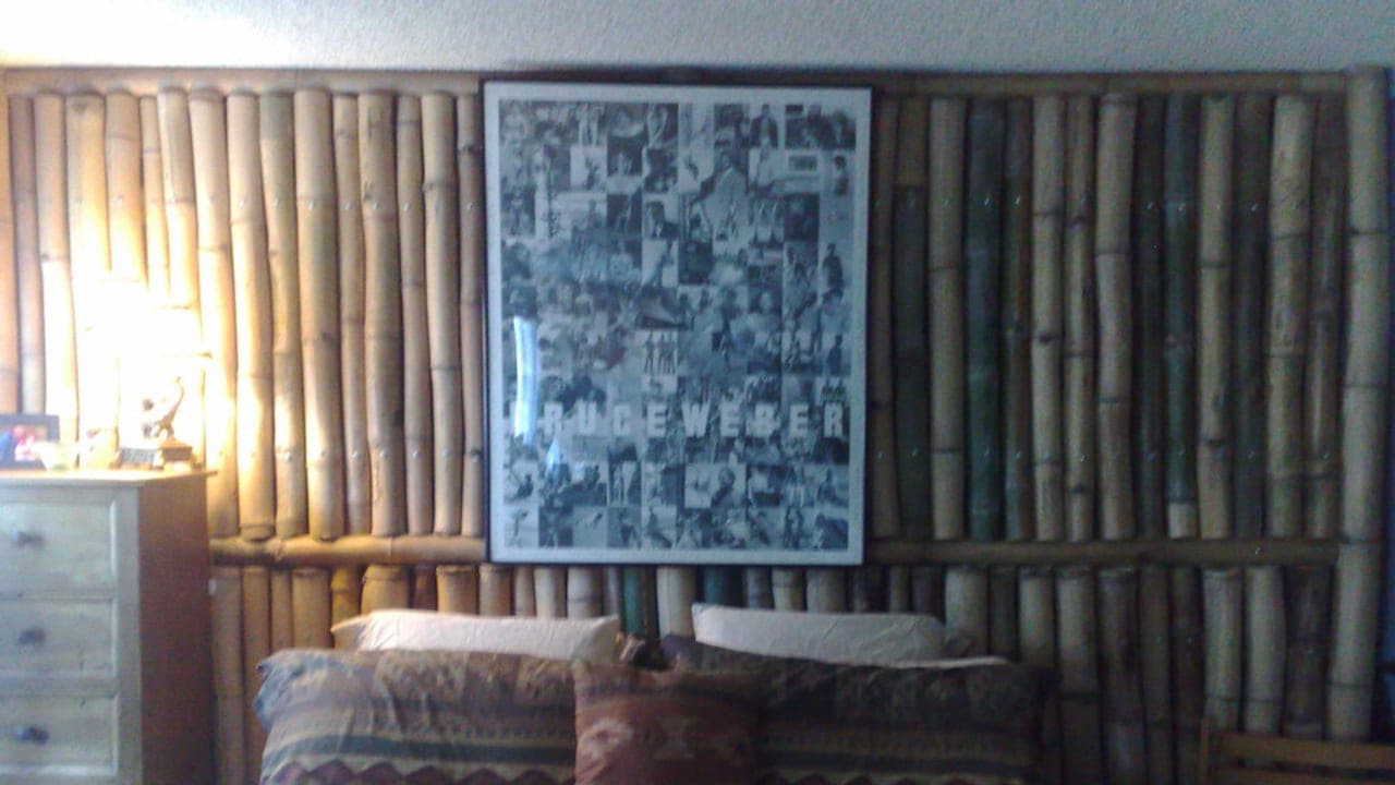 Bamboo and Blood artwork